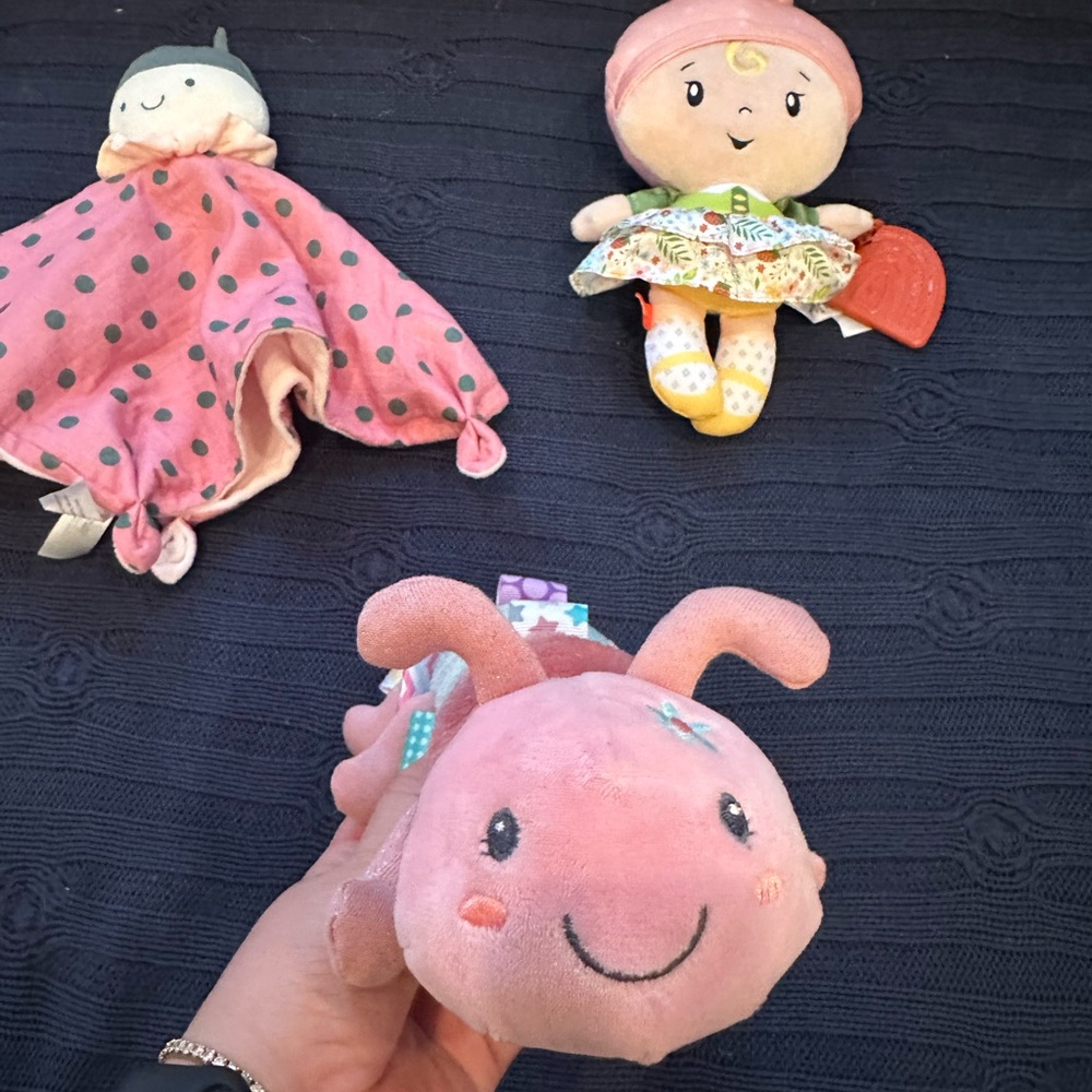 Plush Pink Ladybug Toy, caterpillar tag toy, and baby doll rattle and chewy toy